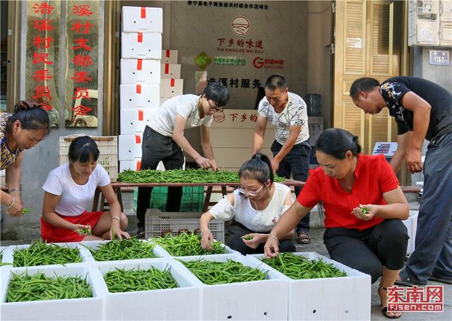 宁德推动农村电子商务体系建设：咱村有电商，特产卖得欢 