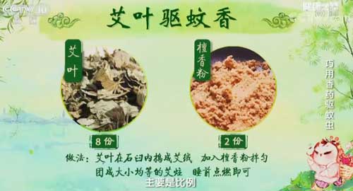这个中药驱蚊方，在家就能做，效果很惊人！